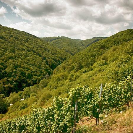 Ferienwohnungen Lithos Oberwesel Dış mekan fotoğraf