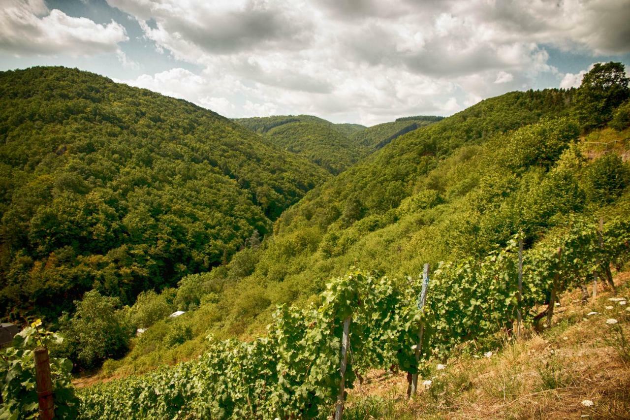 Ferienwohnungen Lithos Oberwesel Dış mekan fotoğraf