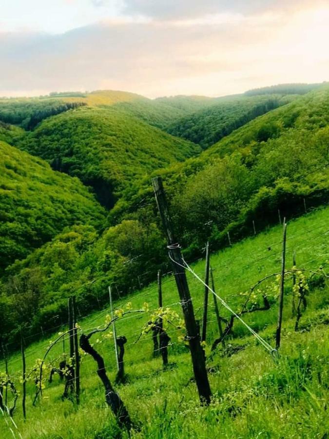 Ferienwohnungen Lithos Oberwesel Dış mekan fotoğraf